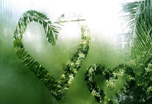 阿诺德完美替代者！这是万比萨卡与阿尔维斯结合体.