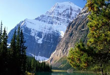 蜂鸟竞技官网：从运动员到裁判员 “解锁”新身份的她有哪些特别感受？央视新闻客户端.