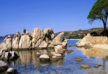 努涅斯调侃麦卡：我告诉他，如果经过我不要看我，我不想带来厄运.